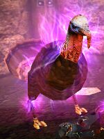 Thunder Turkey